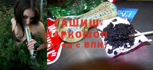 шишки Саяногорск
