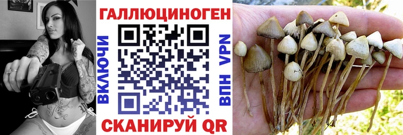 Псилоцибиновые грибы Psilocybe  продажа наркотиков  Ивдель 